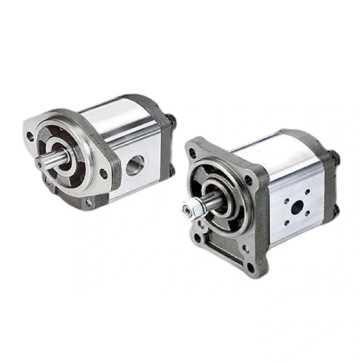 Gear Oil Pump 1PF2G2 Series 1PF2G2-4X/011RA01MB