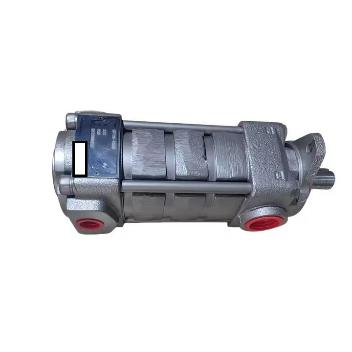 Gear oil pump QXV Series QXV42-020R246